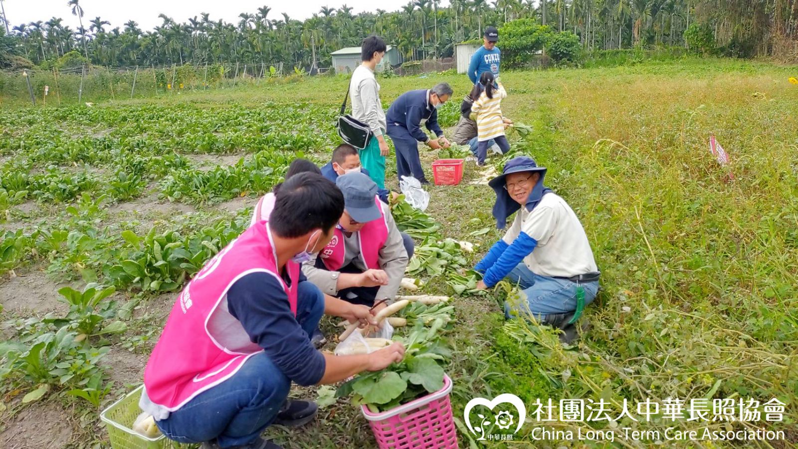 中華長照協會 獨居老人照護計畫「拔蘿蔔好彩頭拔頭籌」元旦出遊 花絮2 中華長照協會 獨居老人照護計畫「拔蘿蔔好彩頭拔頭籌」元旦出遊 花絮2